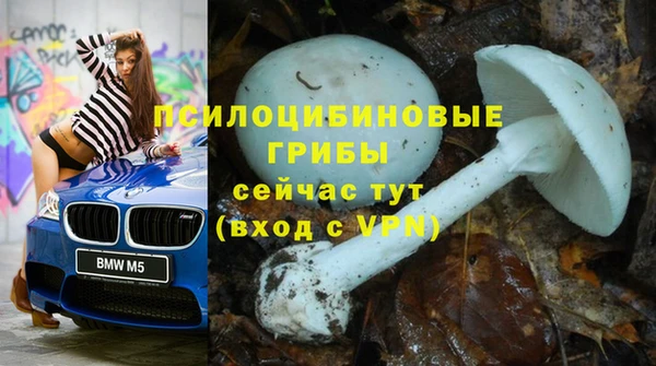 ALPHA-PVP Дмитровск