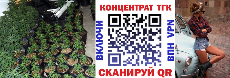 Купить закладки  Георгиевск  Дистиллят ТГК THC oil 