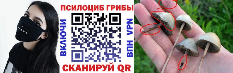 Галлюциногенные грибы ЛСД  Купить  Георгиевск 