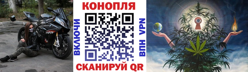 Купить где  Георгиевск  Конопля планчик 